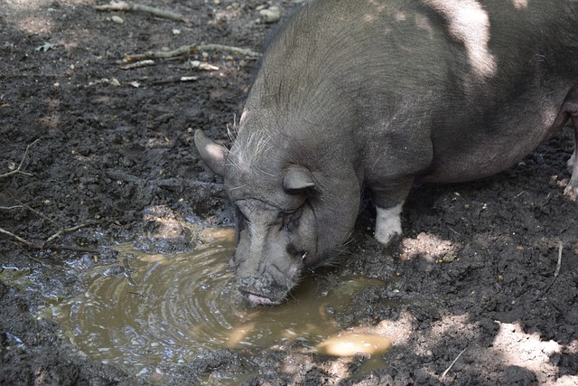 再见曼联？霍伊伦：下赛季我会用意大利语接受采访